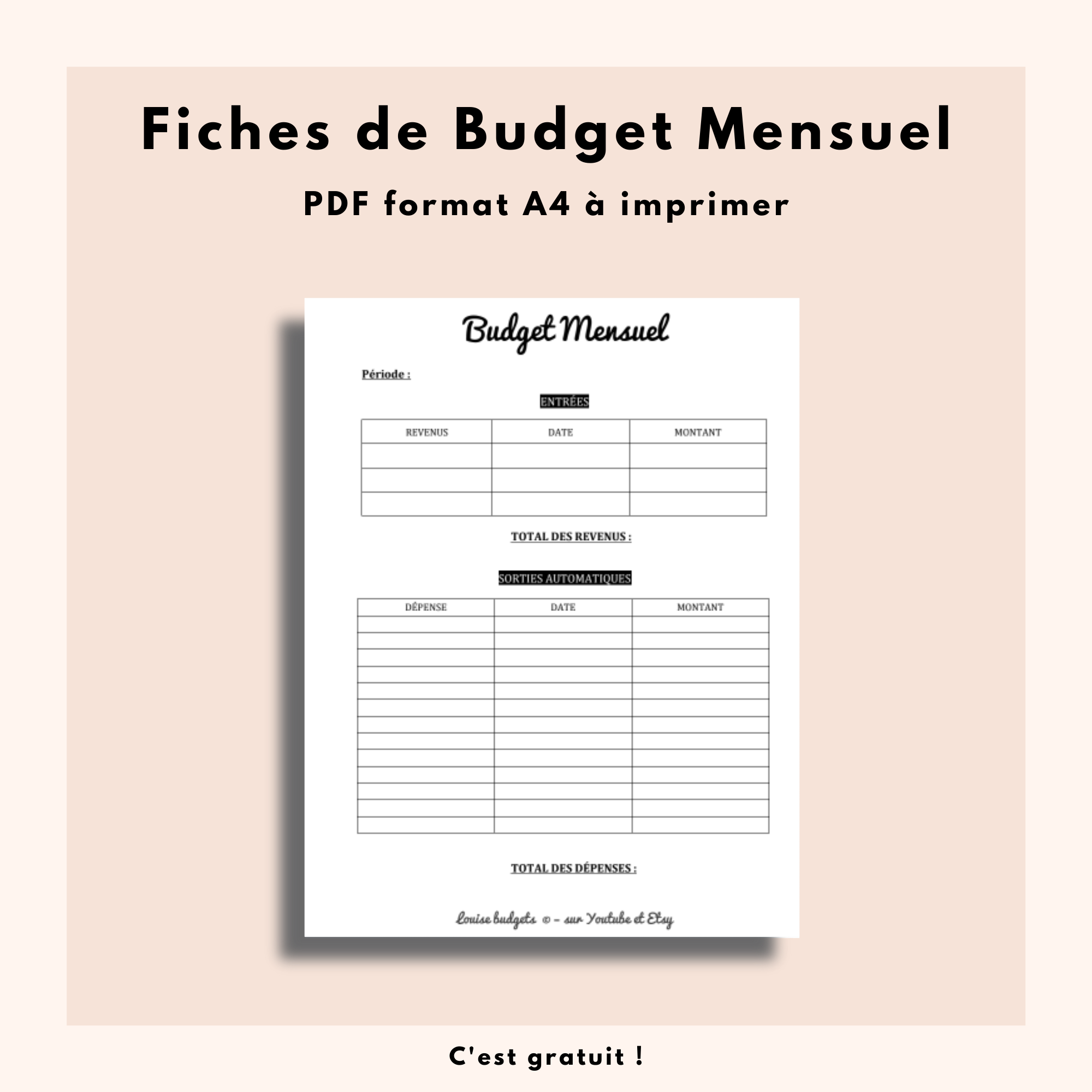 https://formator.io/uploads/page/fiches-budget-mensuel-gratuite-louise-budgets-622ef83c7ccdb.png